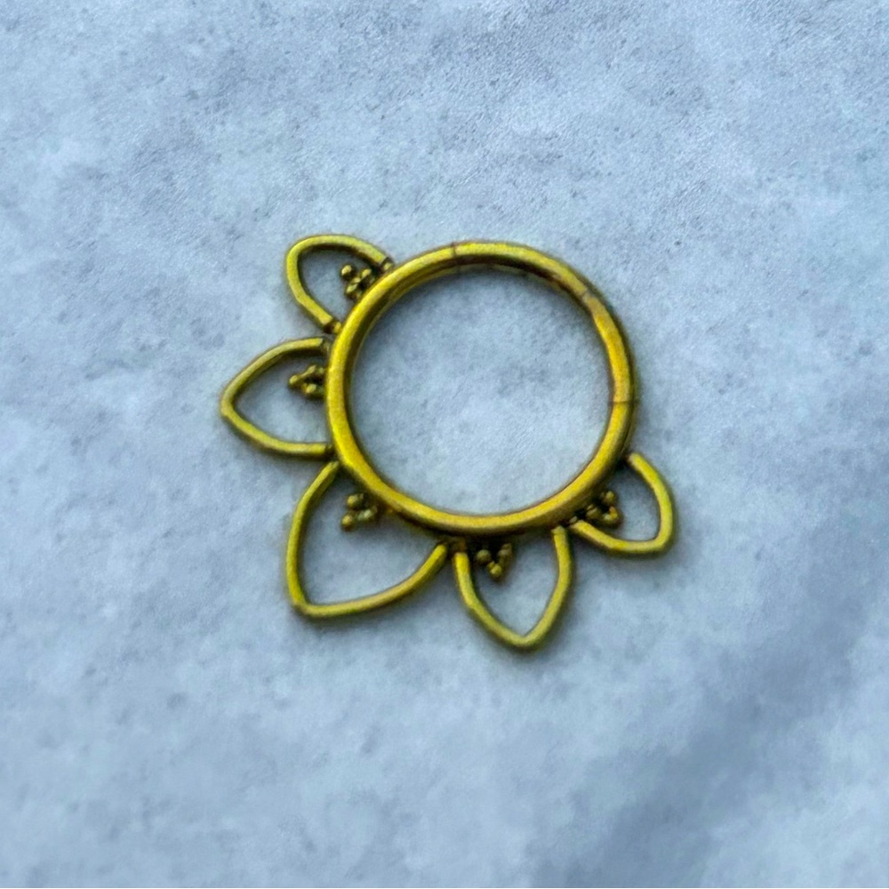 NWOT 16g daith clicker hoop